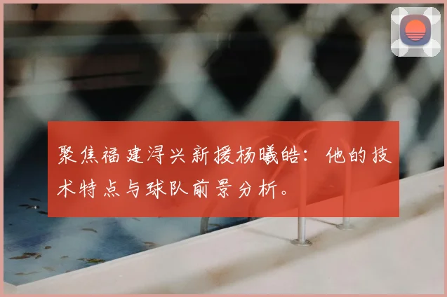 聚焦福建浔兴新援杨曦皓：他的技术特点与球队前景分析。