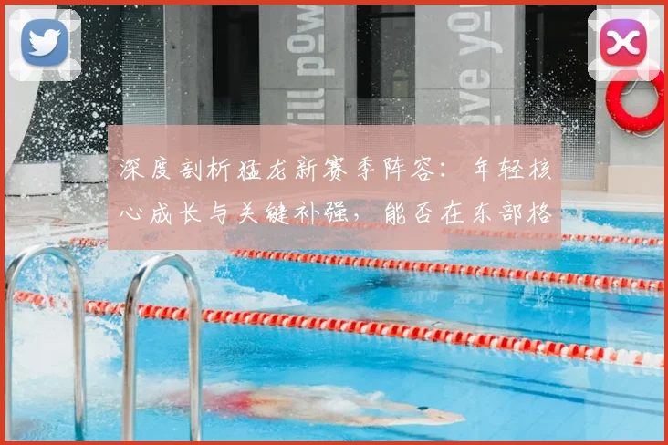 深度剖析猛龙新赛季阵容：年轻核心成长与关键补强，能否在东部格局中冲击冠军？